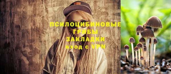 мдпв Нефтекумск