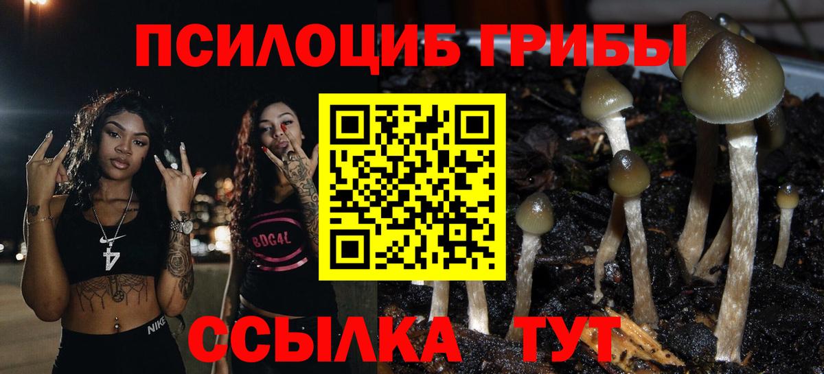 Псилоцибиновые грибы мухоморы  Вход с VPN  Иркутск 